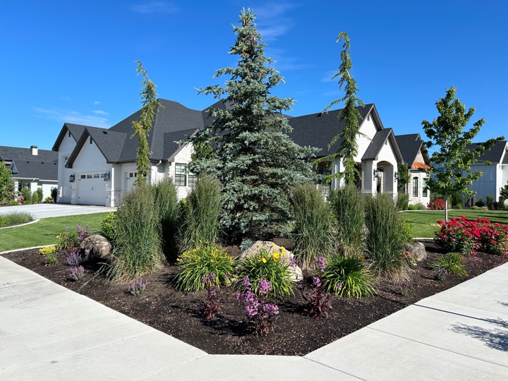 2D Landscape Blueprints & Site Plans