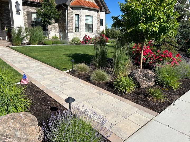 Front & Backyard Concept Plan with Planting Schedule